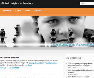 Global Insights website